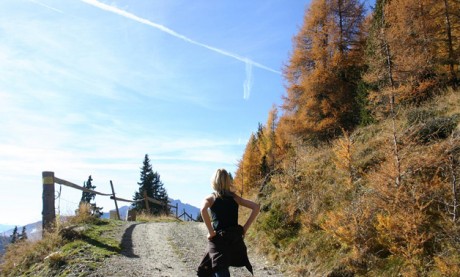 wanderbeitrag