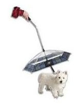 dog umbrella