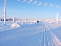 Tipps gegen den Winterblues