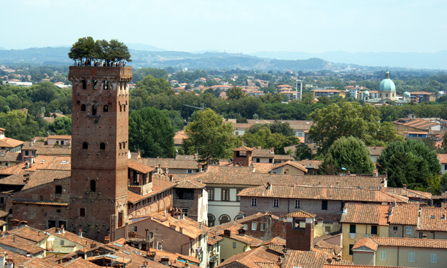 Torre Guinigi – ein Stück Wald auf der Turmspitze