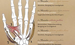 Bezeichnungen